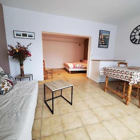 Studio Au Pied Du Chateau De Castelnaud Exteriér fotografie